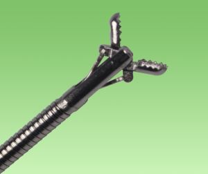 Endoscopy Uncoated Alligator Biopsy Forceps